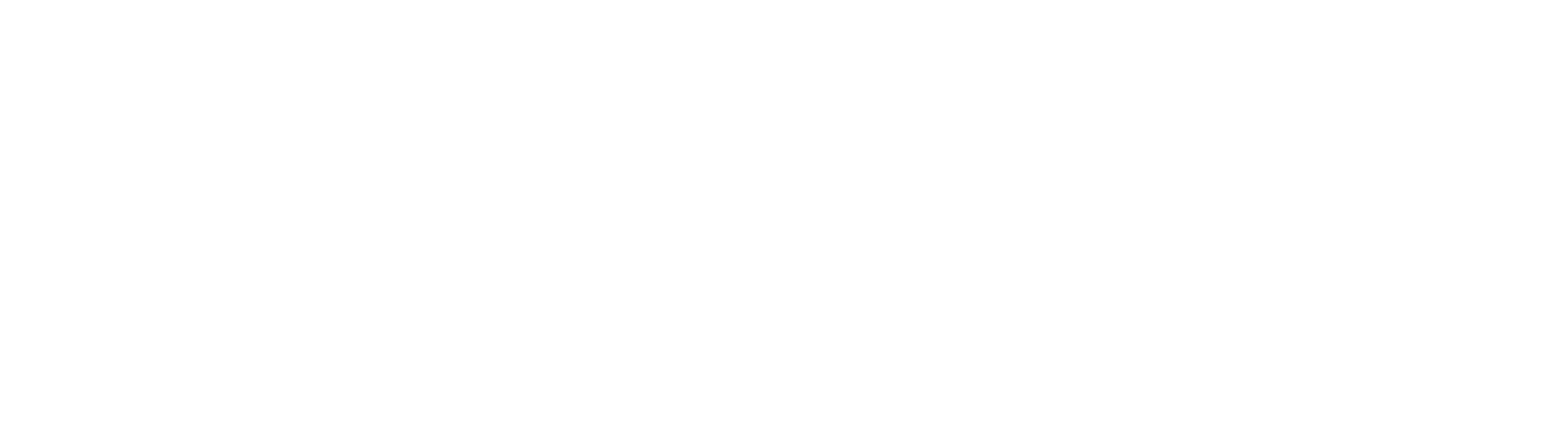 Caracola Branding 2025-05